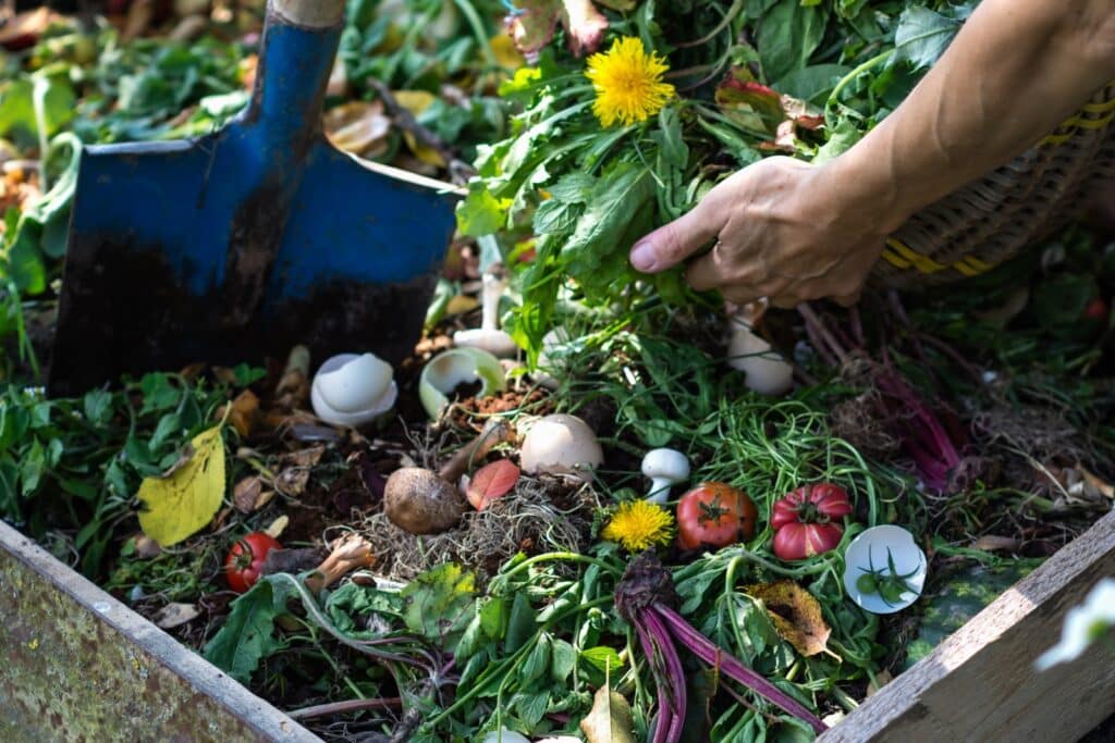10 golden rules for successful composting